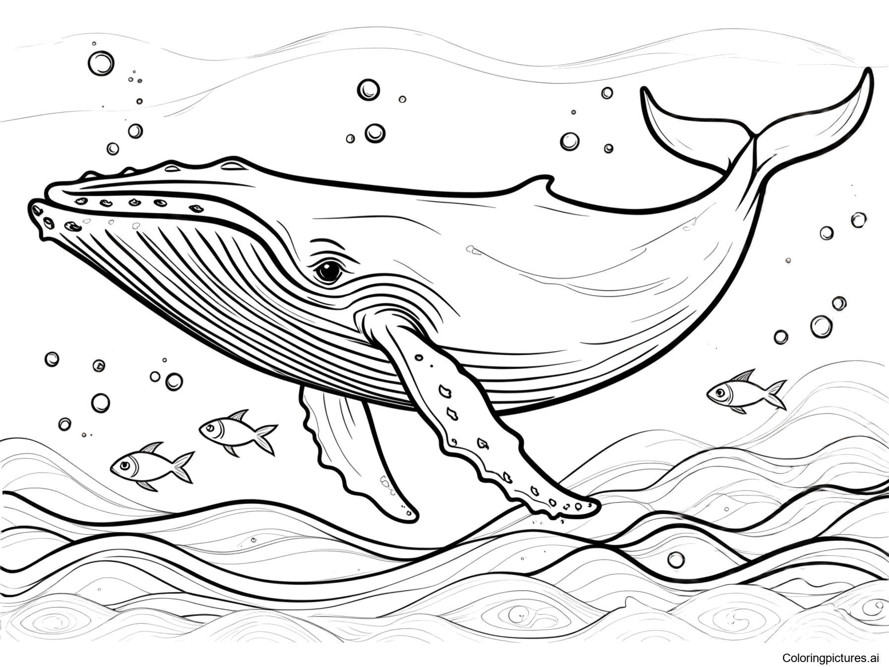 Free Printable Blue Whale Coloring Pages