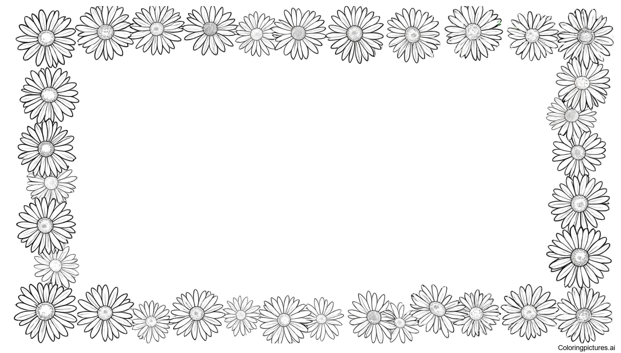 Daisy flowers