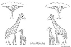 Giraffe Coloring Page with Names